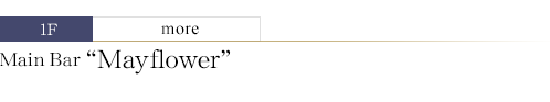 Main Bar Mayflower