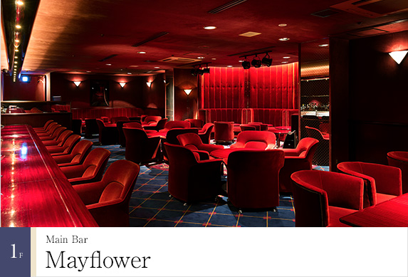 1F  Main Bar 'Mayflower'
