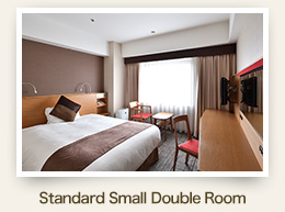 Non-smoking Smalldouble Room