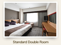 Non-smoking Double Room