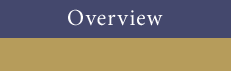 Overiew