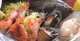 【土日祝日限定】シーフードランチ