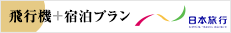 飛行機＋宿泊プラン