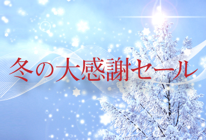 冬の大感謝セール～公式サイト限定特別宿泊プラン～