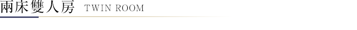 兩床雙人房
